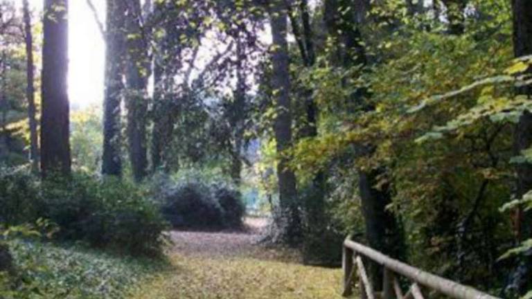 Imola, sì al limite di velocità in Viale Dante Imola, sì al limite di velocità in Viale Dante
