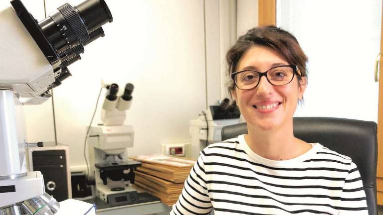 Gambettola, premiata ricerca su una rara malattia alle ossa Gambettola, premiata ricerca su una rara malattia alle ossa