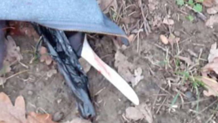 Omicidio a Cesena: un'ultima lite prima del delitto Omicidio a Cesena: un'ultima lite prima del delitto