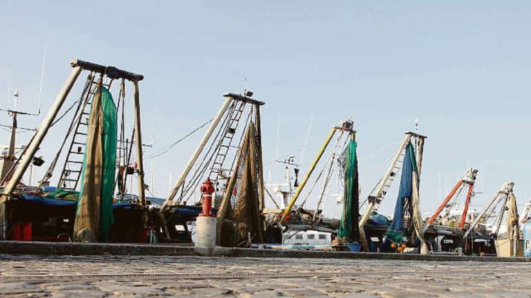 Cesenatico, pescatori fermi altri 7 giorni contro il gasolio d'oro Cesenatico, pescatori fermi altri 7 giorni contro il gasolio d'oro