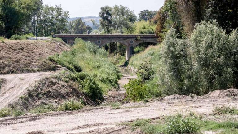 Le debolezze storiche di Faenza, tra ponti bassi e alvei a livello della strada Le debolezze storiche di Faenza, tra ponti bassi e alvei a livello della strada
