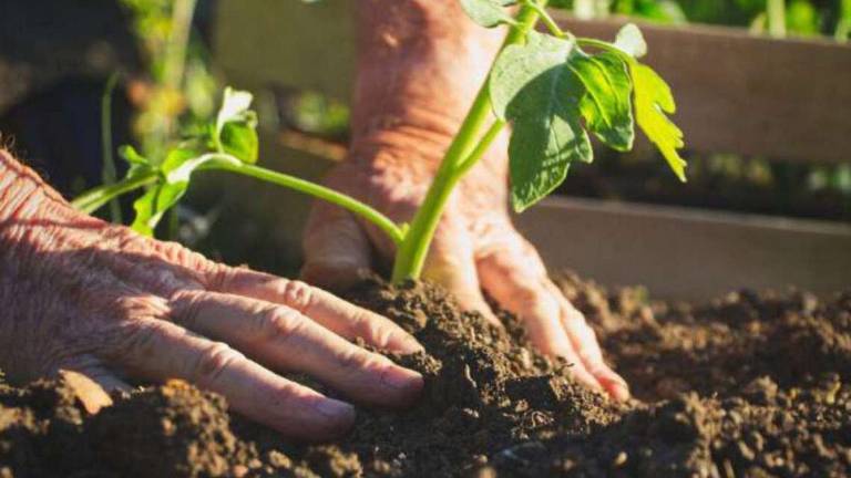 Finite le risorse annuali: attingiamo già da quelle del 2022 Finite le risorse annuali: attingiamo già da quelle del 2022