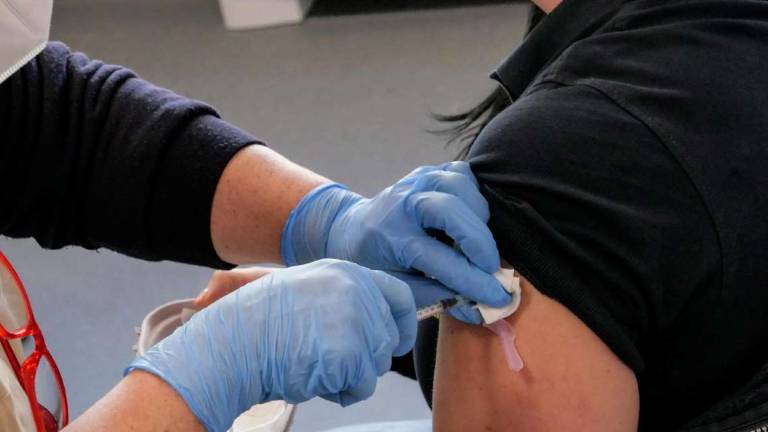 I medici: «Allergie? Nessun motivo per non vaccinarsi» I medici: «Allergie? Nessun motivo per non vaccinarsi»
