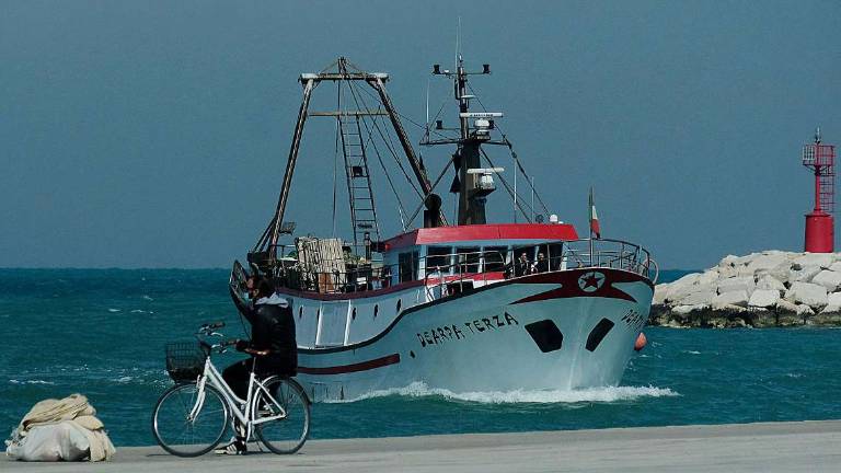 Caro gasolio, pescherecci romagnoli pronti a tornare in mare lunedì Caro gasolio, pescherecci romagnoli pronti a tornare in mare lunedì