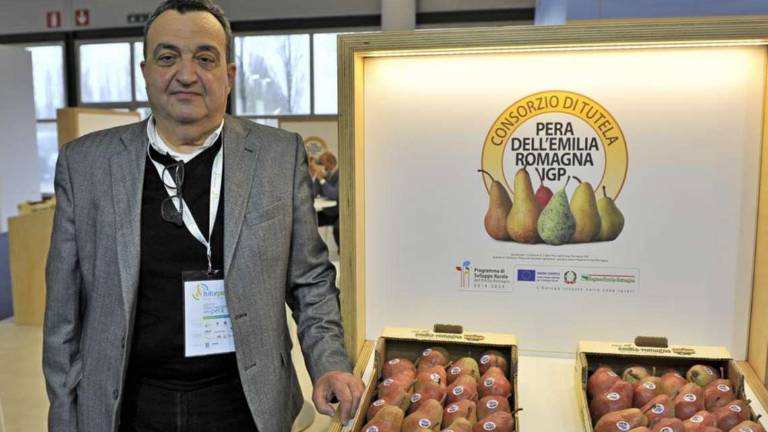 Pera dell’Emilia-Romagna, per l’Igp arriva un nuovo riconoscimento Pera dell’Emilia-Romagna, per l’Igp arriva un nuovo riconoscimento