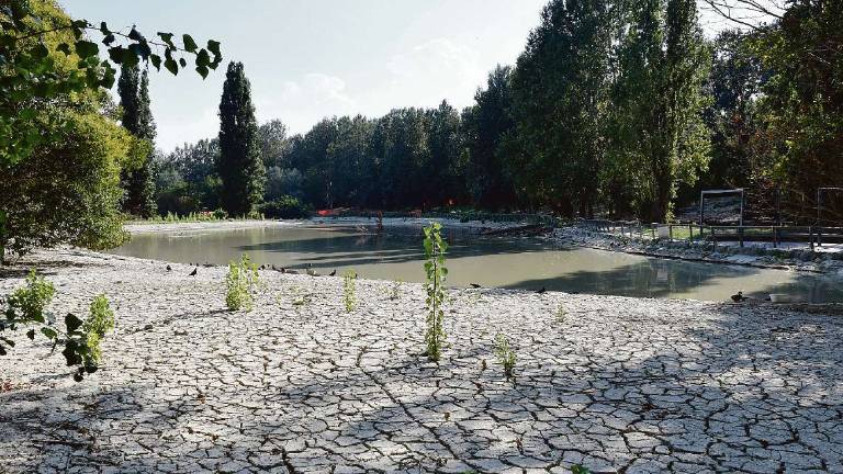 Forlì. Lavori al Parco urbano, danni per 600mila euro - Gallery Forlì. Lavori al Parco urbano, danni per 600mila euro - Gallery
