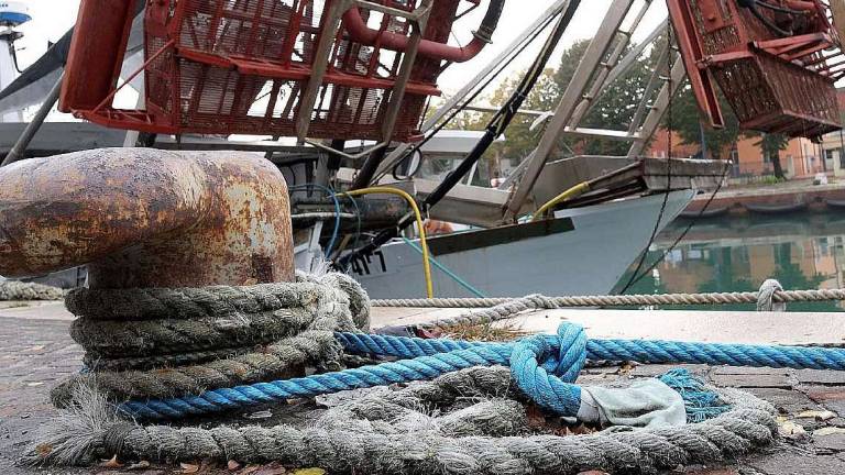 Europarlamento, ok al Fondo per la pesca sostenibile Europarlamento, ok al Fondo per la pesca sostenibile