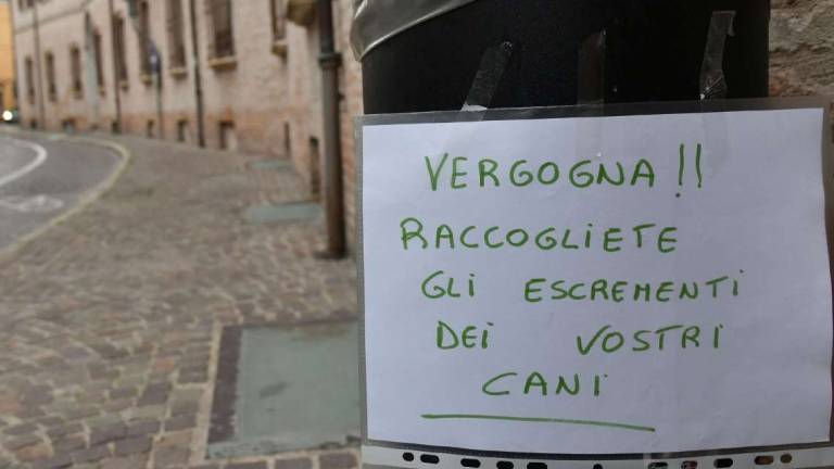 Il suo cane fa pipì, lei non pulisce con l'acqua. Multa da 150 euro Il suo cane fa pipì, lei non pulisce con l'acqua. Multa da 150 euro