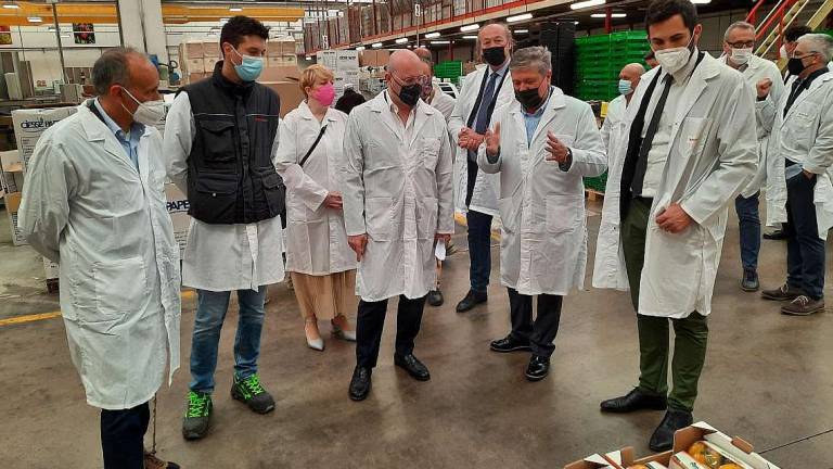 Gelate, costo manodopera e Covid, ma Apofruit rilancia l’ortofrutta Gelate, costo manodopera e Covid, ma Apofruit rilancia l’ortofrutta