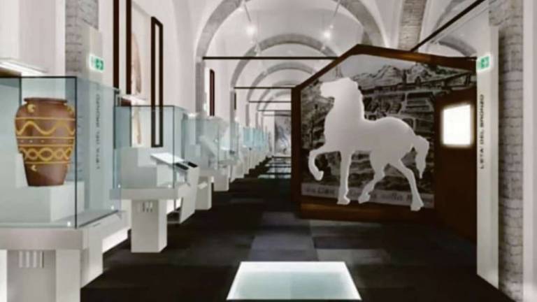 Cesena, futuro museo archeologico: ingresso spostato, cavallo-brand Cesena, futuro museo archeologico: ingresso spostato, cavallo-brand