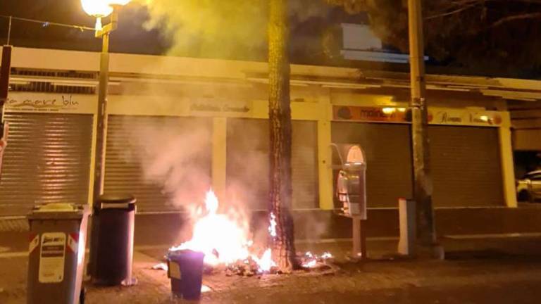 Rimini. Rovesciano i rifiuti e danno fuoco all'albero Rimini. Rovesciano i rifiuti e danno fuoco all'albero