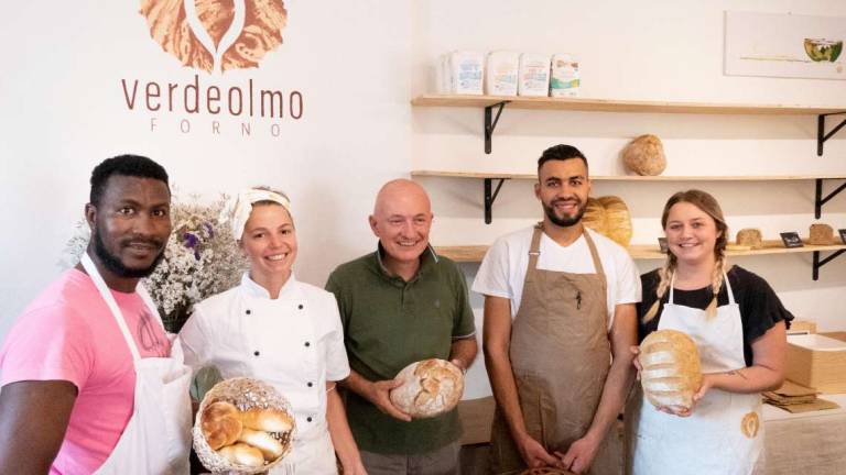 Dal mondo all'Appennino per fare il pane al forno Verde Olmo Dal mondo all'Appennino per fare il pane al forno Verde Olmo