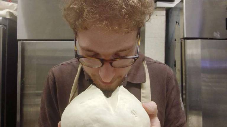 A Imola un giovane fornaio crea il panettone di primavera: Tutto il ricavato agli alluvionati A Imola un giovane fornaio crea il panettone di primavera: Tutto il ricavato agli alluvionati