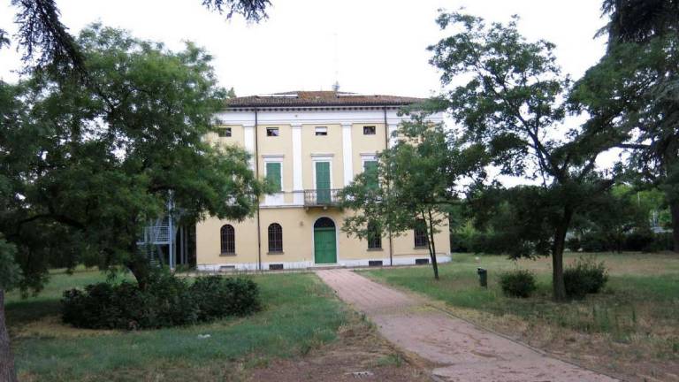 Alberi pericolanti a Imola: monitoraggi e cure nei parchi Alberi pericolanti a Imola: monitoraggi e cure nei parchi
