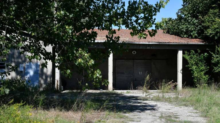 Forlì. No definitivo al nuovo allevamento di polli a Roncadello Forlì. No definitivo al nuovo allevamento di polli a Roncadello