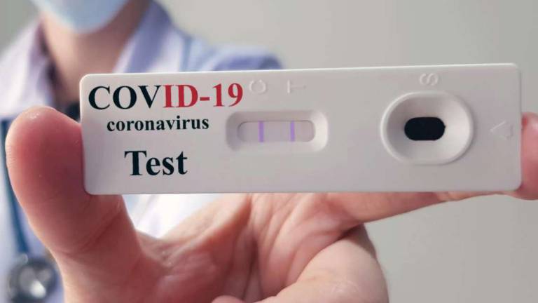 Tamponi coronavirus, appalto da 10 milioni a laboratorio di Faenza Tamponi coronavirus, appalto da 10 milioni a laboratorio di Faenza