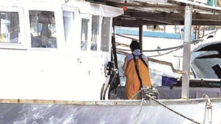 Cesenatico, fine fermo: tornano in mare anche le barche a strascico Cesenatico, fine fermo: tornano in mare anche le barche a strascico