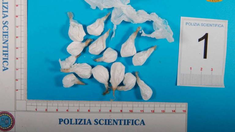 Spaccio di coca a Cesena: testimoni in difesa di 3 accusati Spaccio di coca a Cesena: testimoni in difesa di 3 accusati