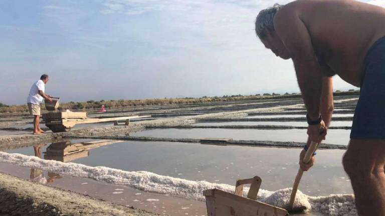 Cervia, corsa contro il tempo per salvare le saline Cervia, corsa contro il tempo per salvare le saline