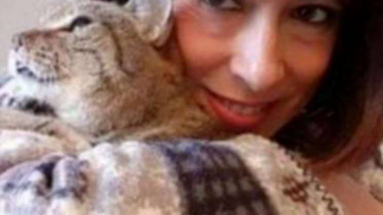Faenza, addio al gatto Mandarino. La sua storia commosse l'Italia Faenza, addio al gatto Mandarino. La sua storia commosse l'Italia