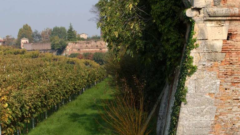 Castrocaro, pronto il progetto per il bastione Santa Maria Castrocaro, pronto il progetto per il bastione Santa Maria