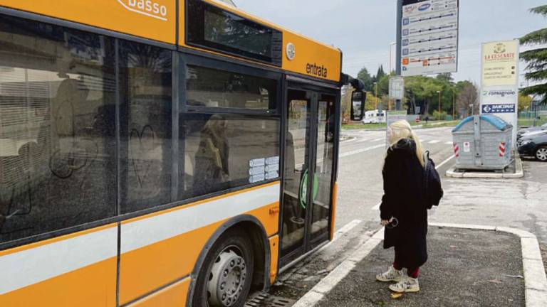 Cesena, addio alla fermata bus pericolosa: ecco l'alternativa: Ma non è attrezzata per i disabili Cesena, addio alla fermata bus pericolosa: ecco l'alternativa: Ma non è attrezzata per i disabili