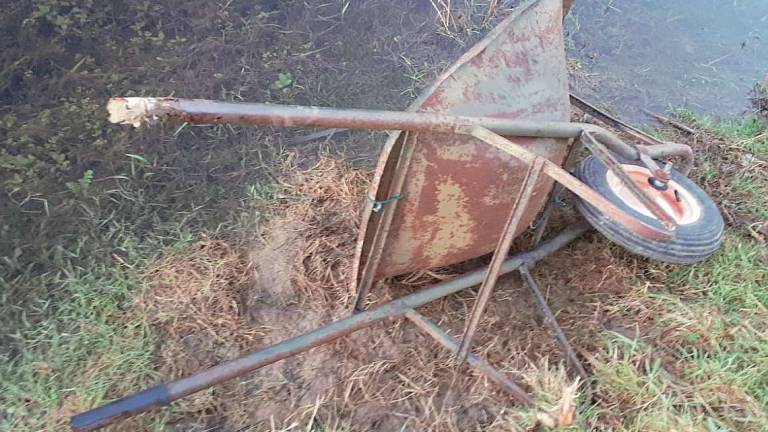 Longiano, vandali distruggono 5 orti per anziani Longiano, vandali distruggono 5 orti per anziani