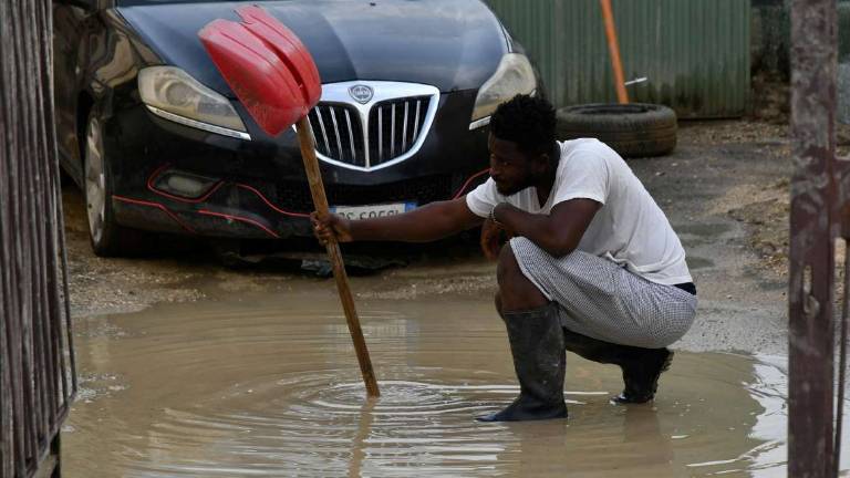 Forlì, chiesta una commissione sull'alluvione Forlì, chiesta una commissione sull'alluvione