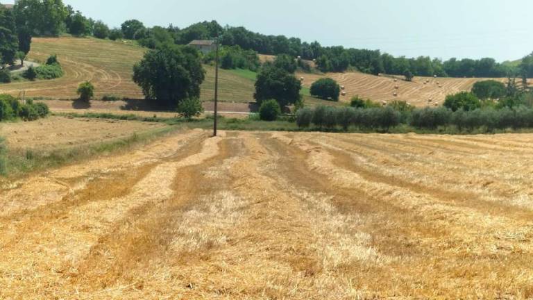Cesena, nasce comitato contro il mega metanodotto Snam Cesena, nasce comitato contro il mega metanodotto Snam