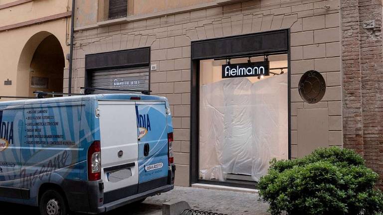 Imola, apre uno store dell'ottica con 5 assunzioni Imola, apre uno store dell'ottica con 5 assunzioni