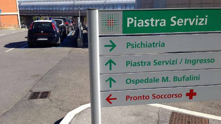Cesenatico: trovato con una mini-piantagione di droga in casa e ricoverato in Psichiatria Cesenatico: trovato con una mini-piantagione di droga in casa e ricoverato in Psichiatria