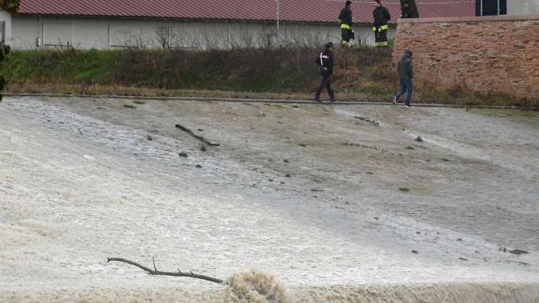 Forlì, ho visto una testa nel fiume e scatta l'allarme Forlì, ho visto una testa nel fiume e scatta l'allarme