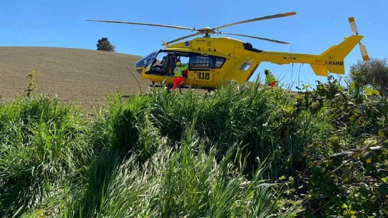Alfero, cade accudendo le api e muore Alfero, cade accudendo le api e muore