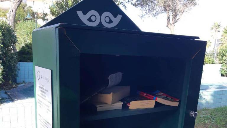 Cattolica, la quinta C ripara le case dei libri vandalizzate Cattolica, la quinta C ripara le case dei libri vandalizzate