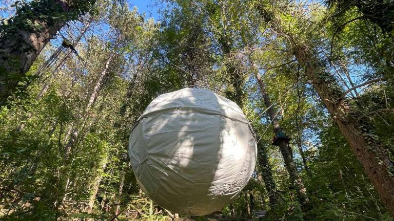 Sul sentiero degli gnomi si dorme sospesi tra gli alberi di Bagno di Romagna: si può chiedere anche una bottiglia di Champagne Sul sentiero degli gnomi si dorme sospesi tra gli alberi di Bagno di Romagna: si può chiedere anche una bottiglia di Champagne