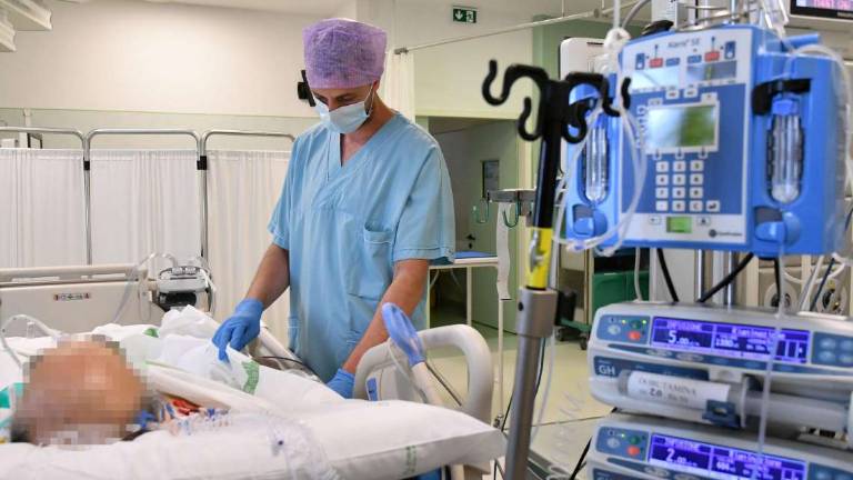 Coronavirus Ravenna, una strage: 429 morti da ottobre Coronavirus Ravenna, una strage: 429 morti da ottobre
