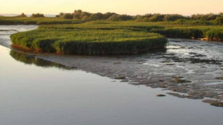 Due parchi, un solo fiume: il Po In Veneto e in Emilia Romagna Due parchi, un solo fiume: il Po In Veneto e in Emilia Romagna