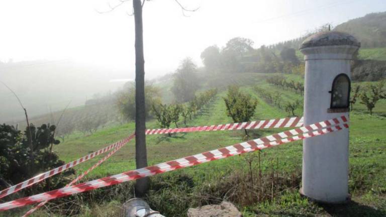 Longiano: storica celletta anti pandemia rotta da un'auto pirata Longiano: storica celletta anti pandemia rotta da un'auto pirata