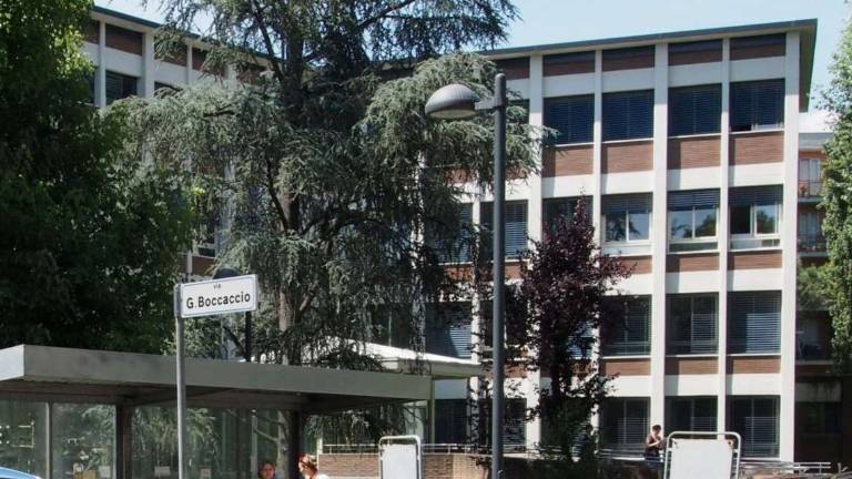 Occupazione Imola, impennata dell'11% dei contratti di lavoro Occupazione Imola, impennata dell'11% dei contratti di lavoro