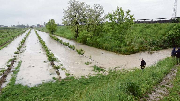 Alluvione del 2019 a Villafranca, risarcita l'azienda Alluvione del 2019 a Villafranca, risarcita l'azienda