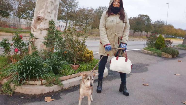 Massa Lombarda. Cane feroce, i residenti difendono l'agente che ha sparato Massa Lombarda. Cane feroce, i residenti difendono l'agente che ha sparato