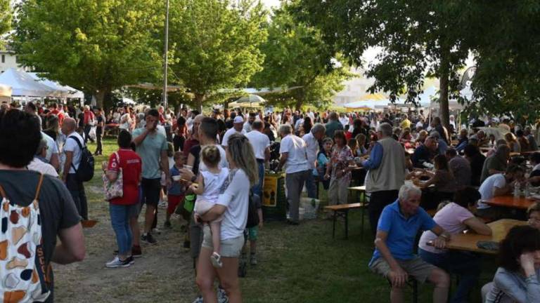 Imola, Fiera agricola da record: in tre giorni 60mila presenze Imola, Fiera agricola da record: in tre giorni 60mila presenze