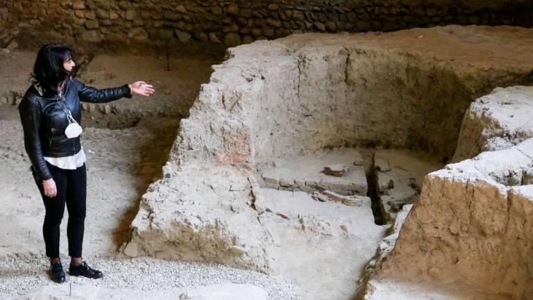 Imola, domus del rasoio: rush finale per aprire a settembre Imola, domus del rasoio: rush finale per aprire a settembre
