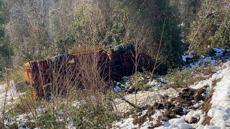 Strade gelate: a Cesena finisce fuori strada il mezzo spargi sale Strade gelate: a Cesena finisce fuori strada il mezzo spargi sale