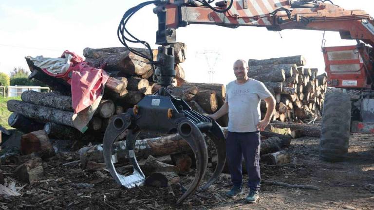 Cesena: legna e pellet scottati dal caro energia Cesena: legna e pellet scottati dal caro energia