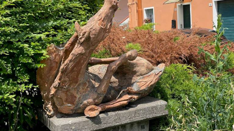 Cesena: restauro in vista per i cavalli in terracotta Cesena: restauro in vista per i cavalli in terracotta