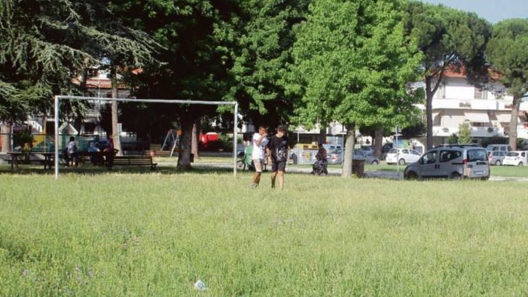 Gambettola, la ditta non taglia l'erba: il Comune ne cerca un'altra Gambettola, la ditta non taglia l'erba: il Comune ne cerca un'altra