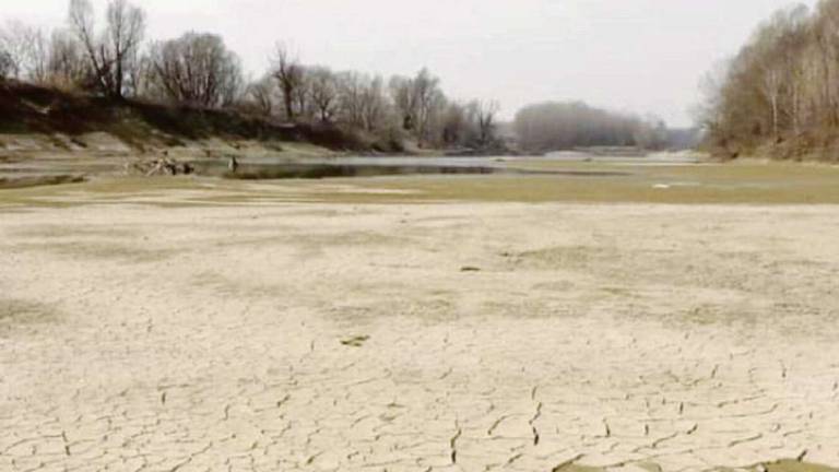 Clima tropicale, in Romagna valori più alti di 2 gradi entro il 2050 Clima tropicale, in Romagna valori più alti di 2 gradi entro il 2050