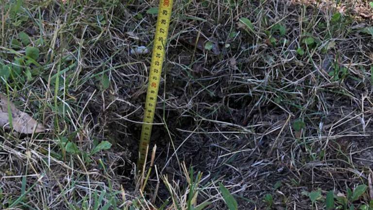 Verucchio. Cade in una buca al parco: chiede 70mila euro al Comune Verucchio. Cade in una buca al parco: chiede 70mila euro al Comune