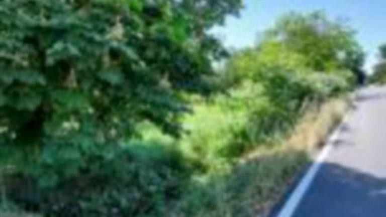 Forlì. Magliano-Carpena, allarme per la sicurezza in via Crocetta: Strada delle scuole pericolosa Forlì. Magliano-Carpena, allarme per la sicurezza in via Crocetta: Strada delle scuole pericolosa